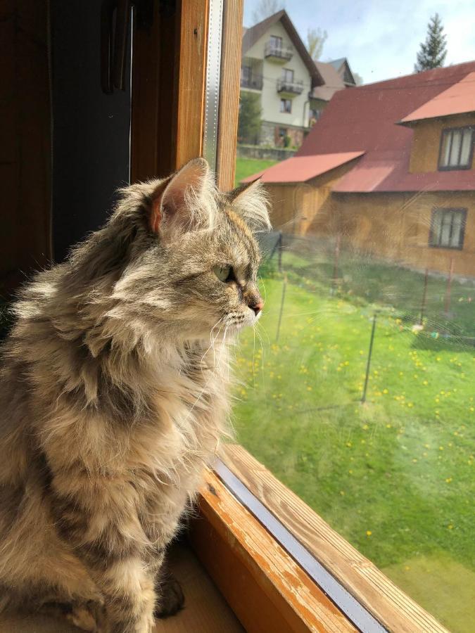 Bukowy Gosciniec Apartman Poronin Kültér fotó
